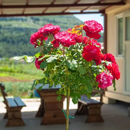 بيت للعطل Smjestaj Dada تريبينيي