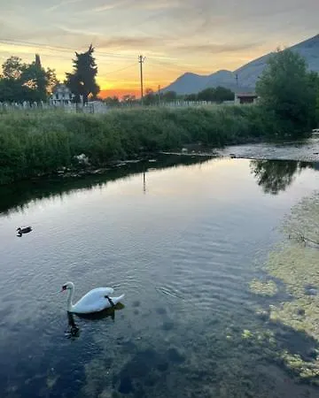 Smještaj Dada *