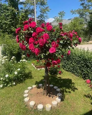 Smjestaj Dada Trebinje